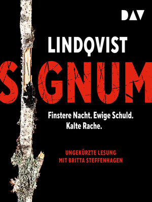 cover image of Signum--Stormland, Band 2 (Ungekürzt)